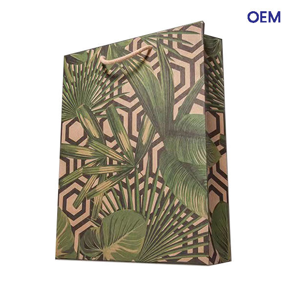 PG19 customized printing brown craft paper bag
