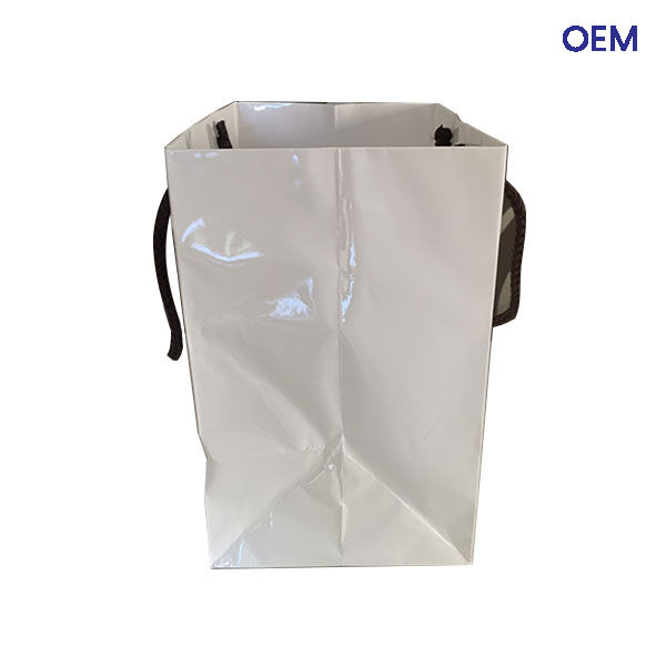 PG05 customized luxury paper bags