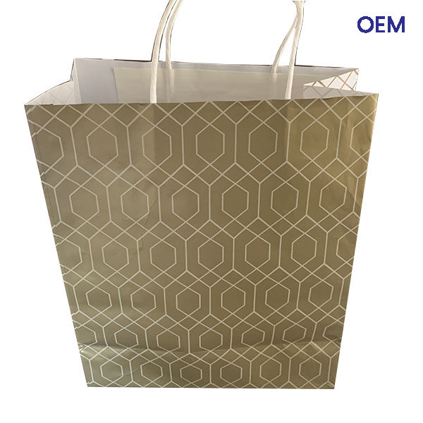 PG06 art paper bag with twisted handles