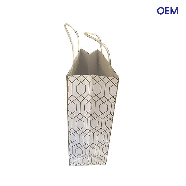 PG06 art paper bag with twisted handles