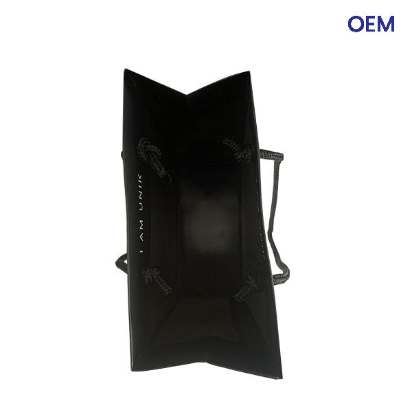 PG30 customized art paper bags