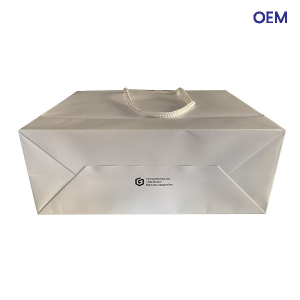 PG07 art paper bag with rope