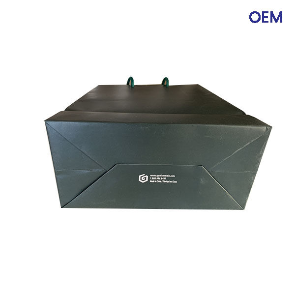 PG07 art paper bag with rope