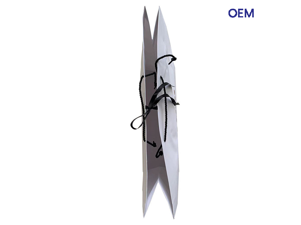 PG46 V21 white kraft paper bags