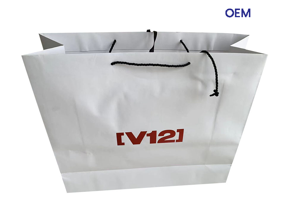 PG46 V21 white kraft paper bags