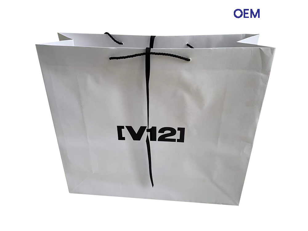 PG46 V21 white kraft paper bags